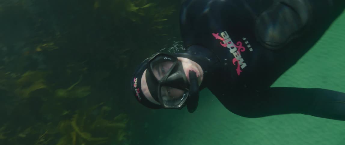 A diver swims underwater