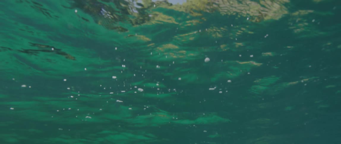 Ripples on the surface of the ocean seen from underwater