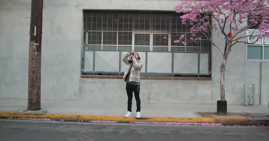 Photographers stands on sidewalk near flowering tree taking a picture