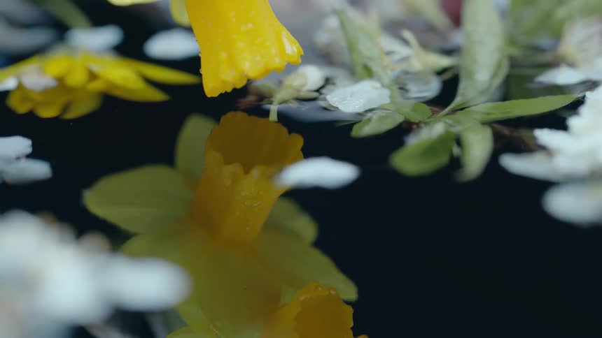 A yellow flower leans downward over flowing water such that its reflection is clearly visible