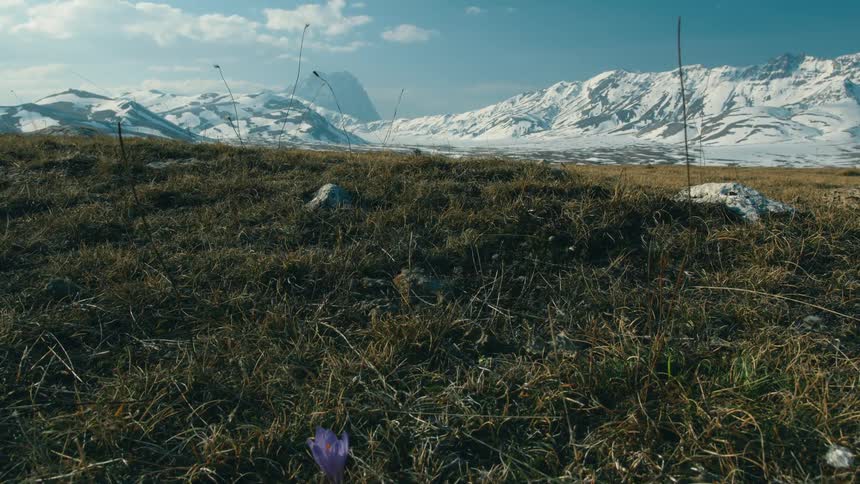 Grass plains in front of the snow covered peaks of a mountain range
