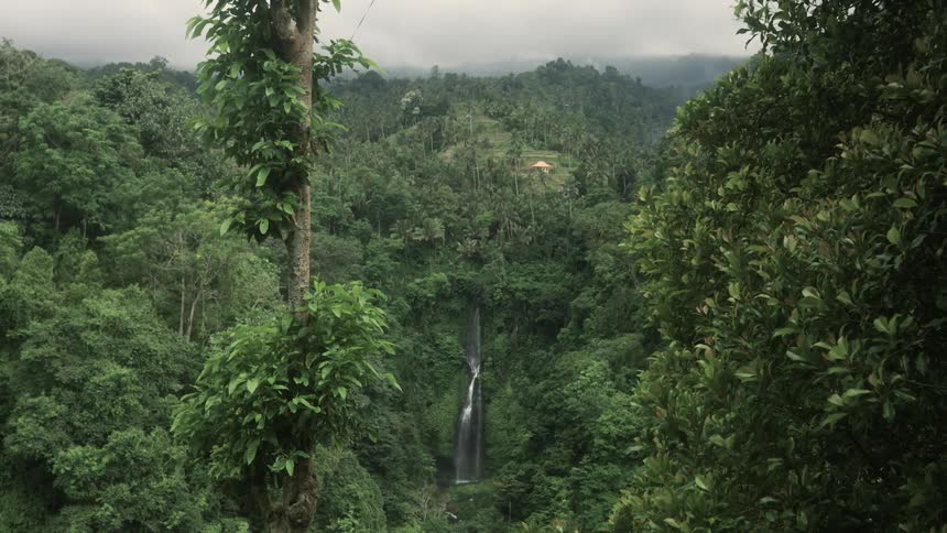 Waterfalls in a tropical jungle filled with green plants and trees under a cloudy sky