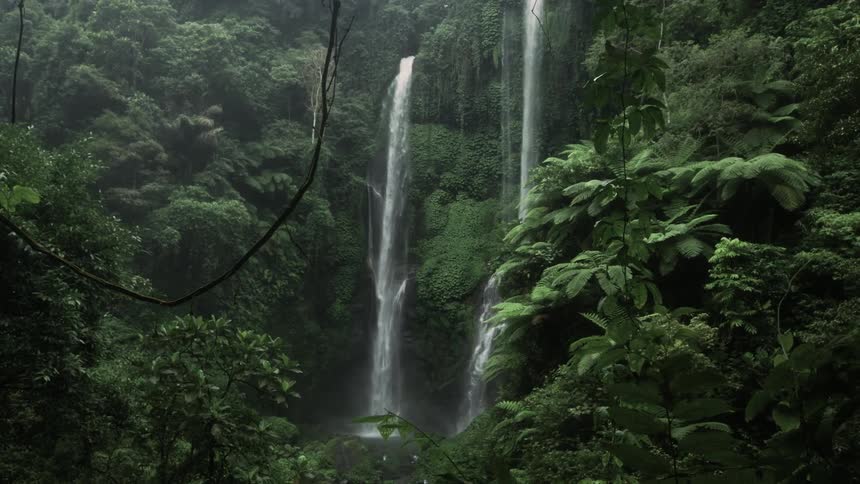 Waterfalls flowing into a stream in a tropical jungle filled with green plants and trees