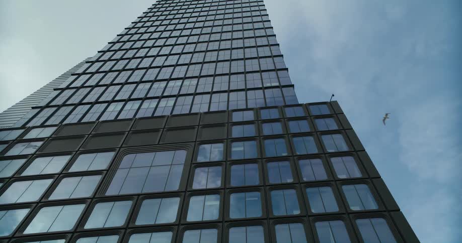 The reflections the sky shine on the surface of a tall downtown building as a bird flies past