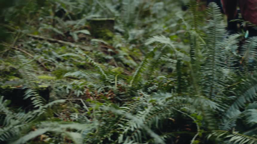 A woman rides her bicycle over uneven ground in the woods