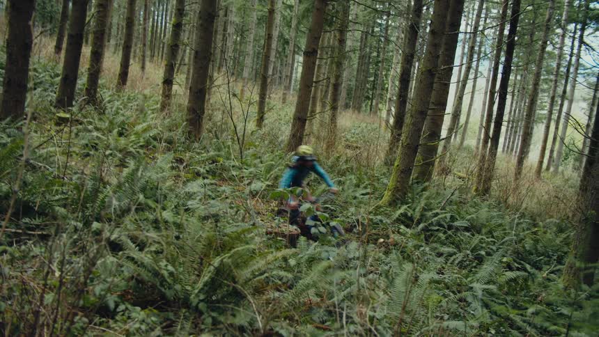 A person races their bike through the forest