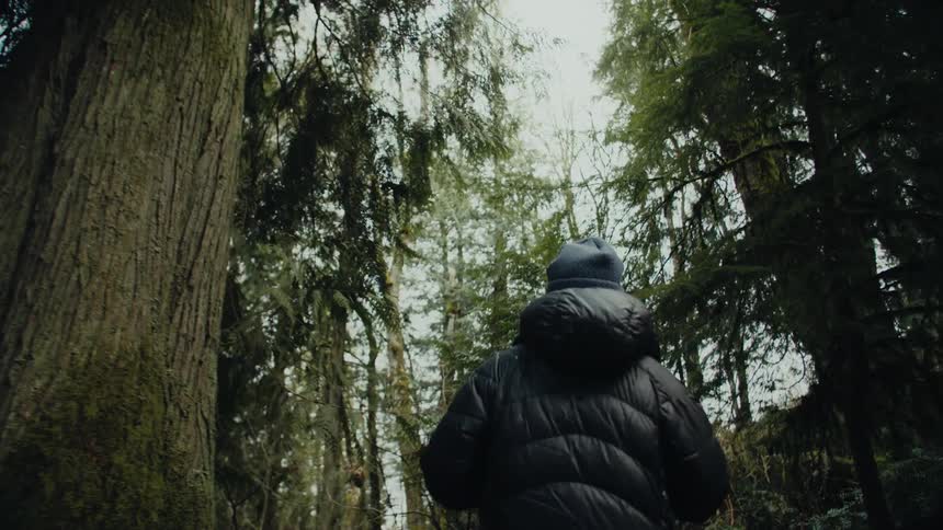 Person wearing heavy coat hikes through conifer forest with snow on the ground