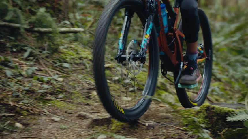 A cyclist is riding a bike on a trail through plants in the woods