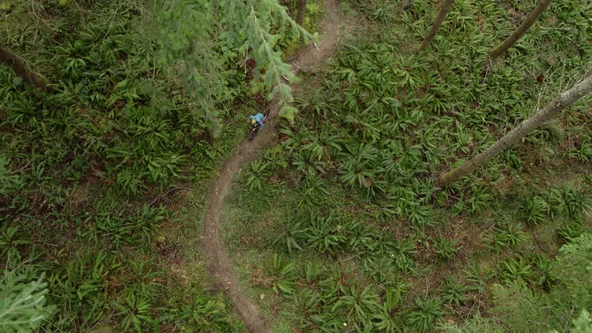 A person rides their bicycle on the trail