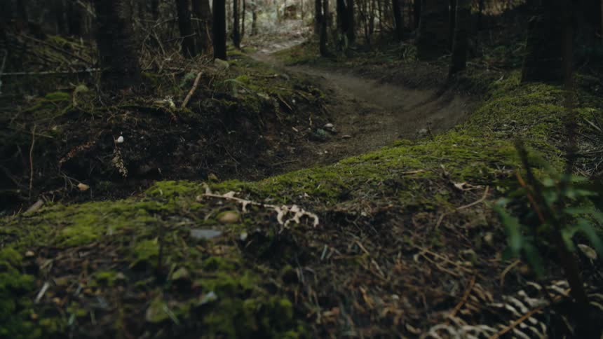 A person races their mountain bike along a dirt trail in a forested area