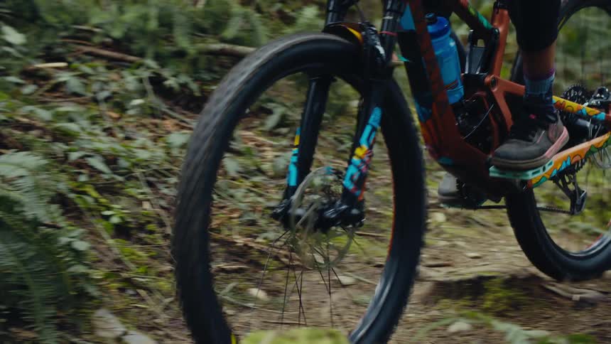 Someone riding a bike on a trail through plants in the woods