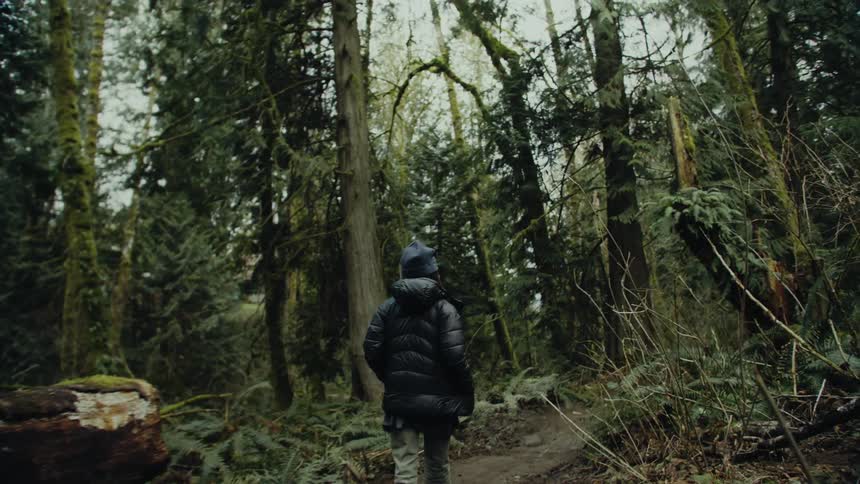 A person carrying a backpack hikes on a trail through the forest at daytime