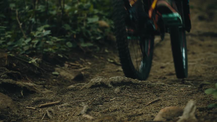 A person is riding their bike through the woods
