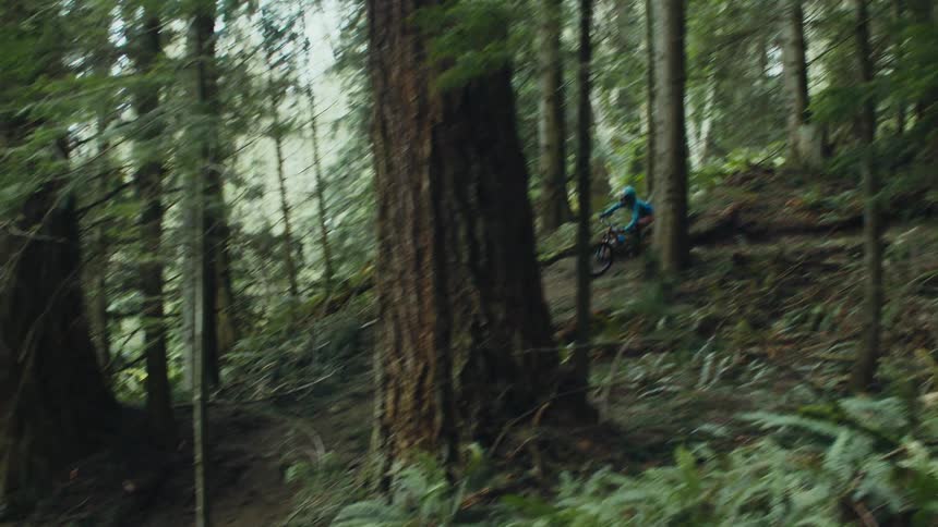 A bicycle motocross cyclist rides a bike through a woodland at high speed during the day