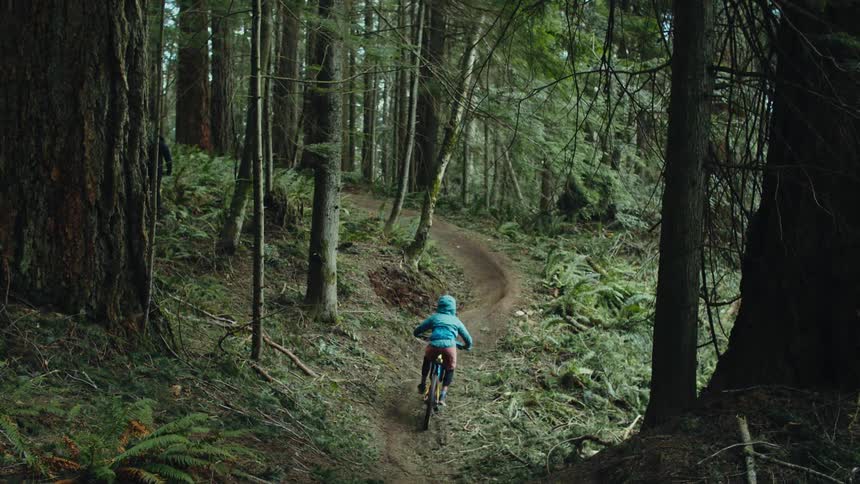 Cyclists rides mountain bike along dirt trail past trees and ferns taking a jump over small bump on ground