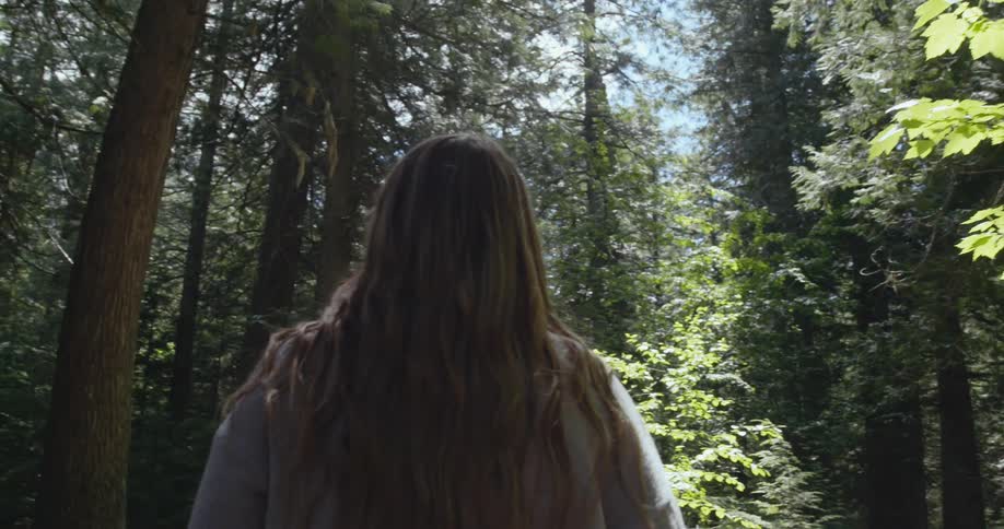 A woman looks up at the tall trees while hiking through the woods