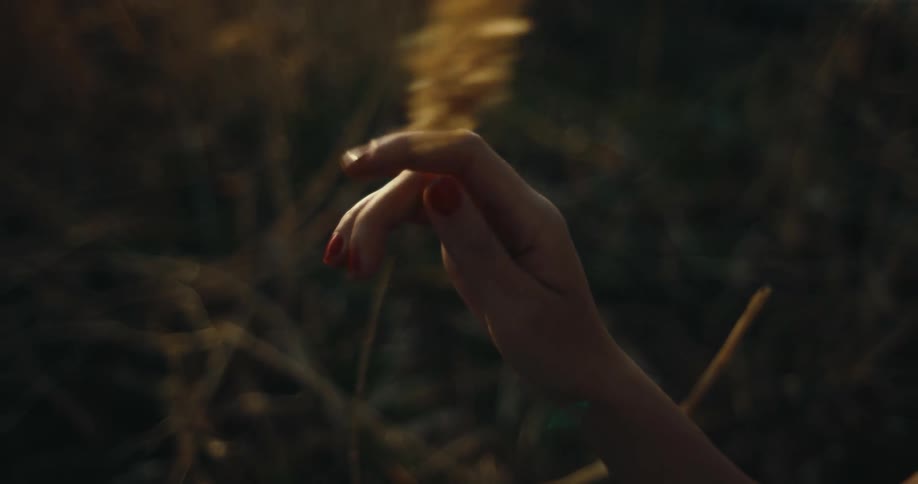 A female person with red painted fingernails is outside holding the stem of a plant