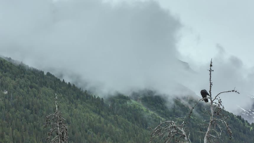 Banff Alberta