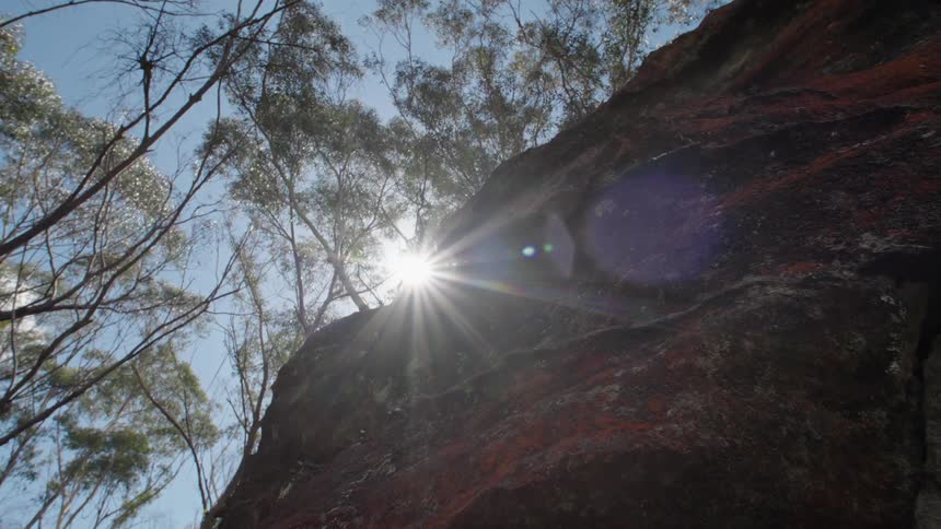 The sun shines behind large rock in the forest