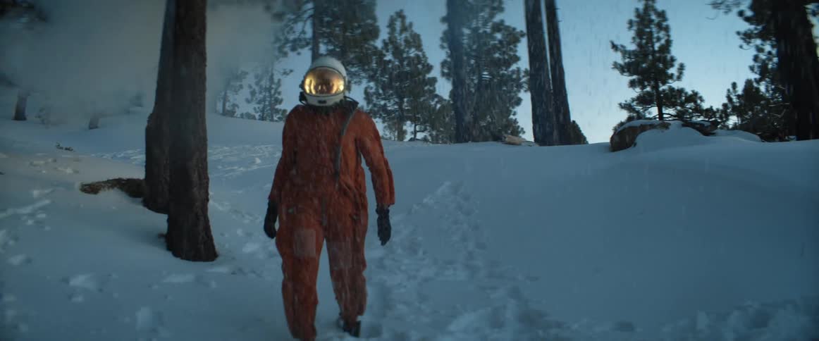 A person is walking through a forest in winter