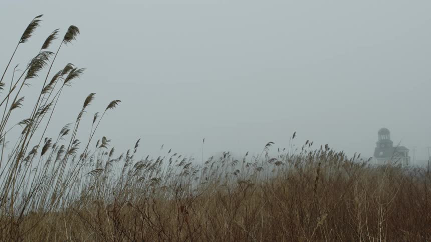 View of tall grasses blowing in the wind in heavy fog with a slightly visible building with a domed cupola in the distance to the right.