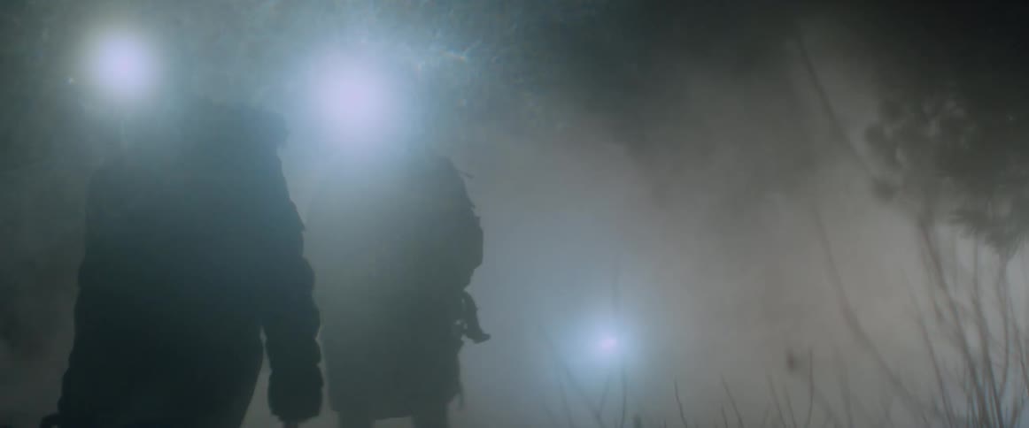 A group of people walking outdoors at night
