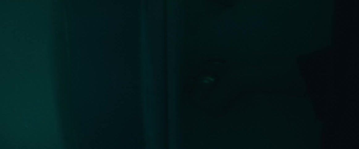 A person walks and opens the door