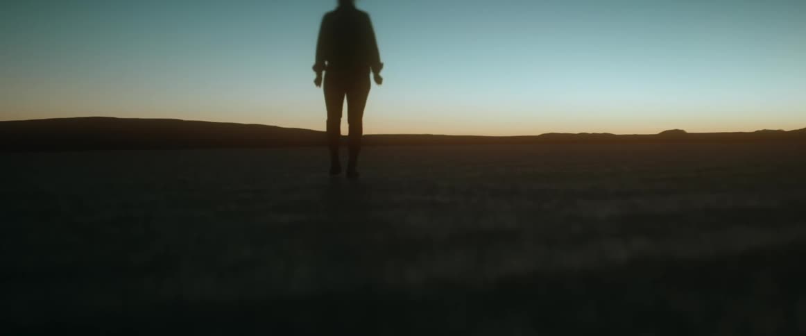 A woman walks through a vast field at sunset