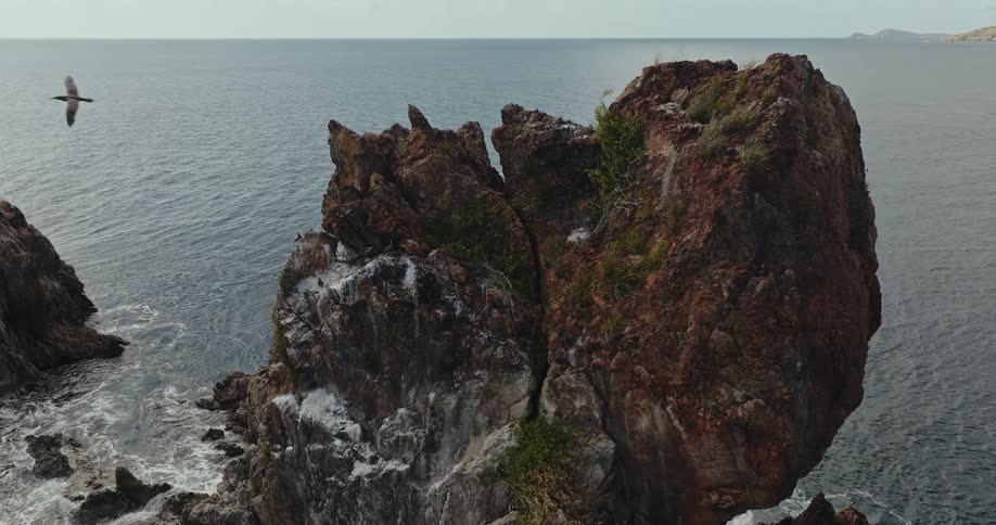 Seagull flies over small rocky islands off coast