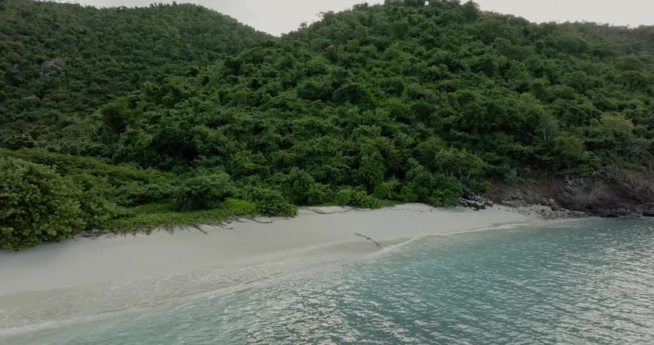 A seagull flies near shore as clear water waves roll over a beach and trees and plants cover mountains
