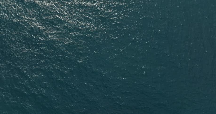 Birds eye view of an ocean is displayed