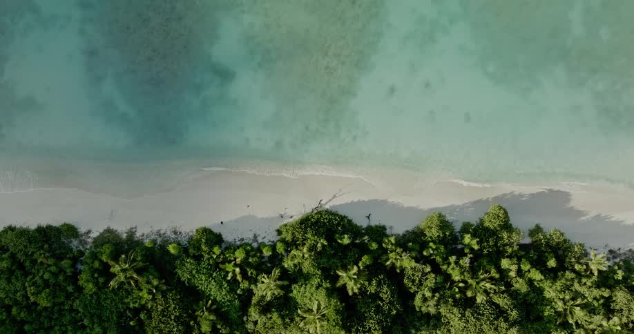 Aerial view of clear water waves rolling over a white sand beach and trees along the coast
