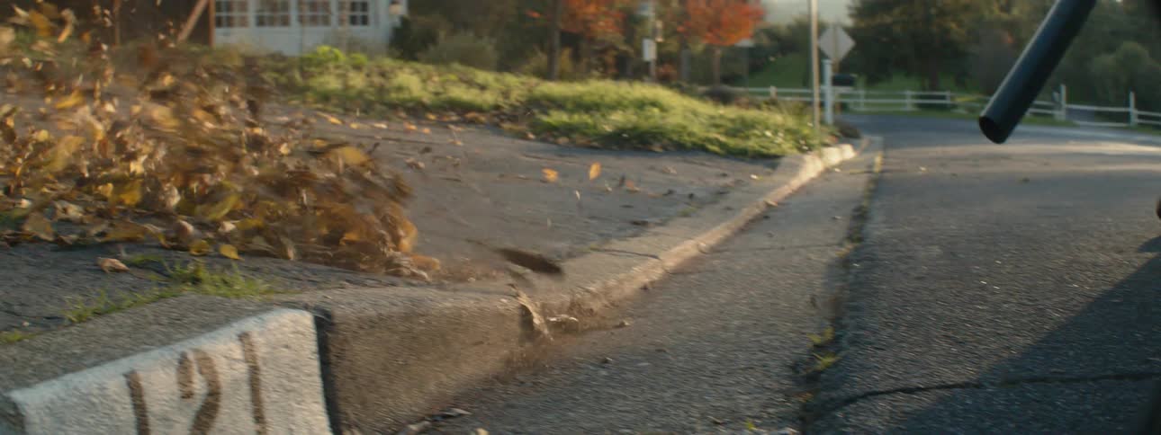 A man is walking in the street with a leaf blower and blowing leaves across his driveway