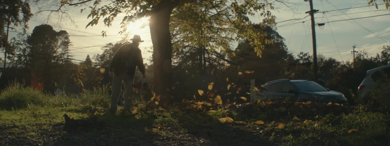 A man blows leaves in his front yard