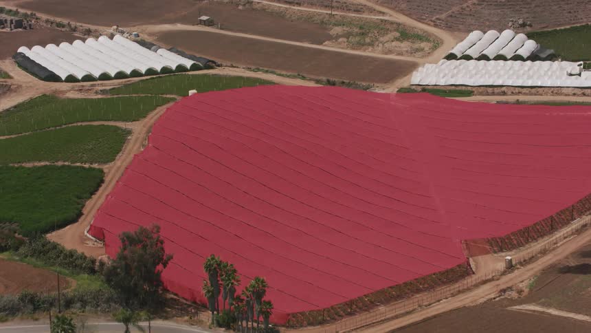 A field of crops on a farm is covered with a red tarp