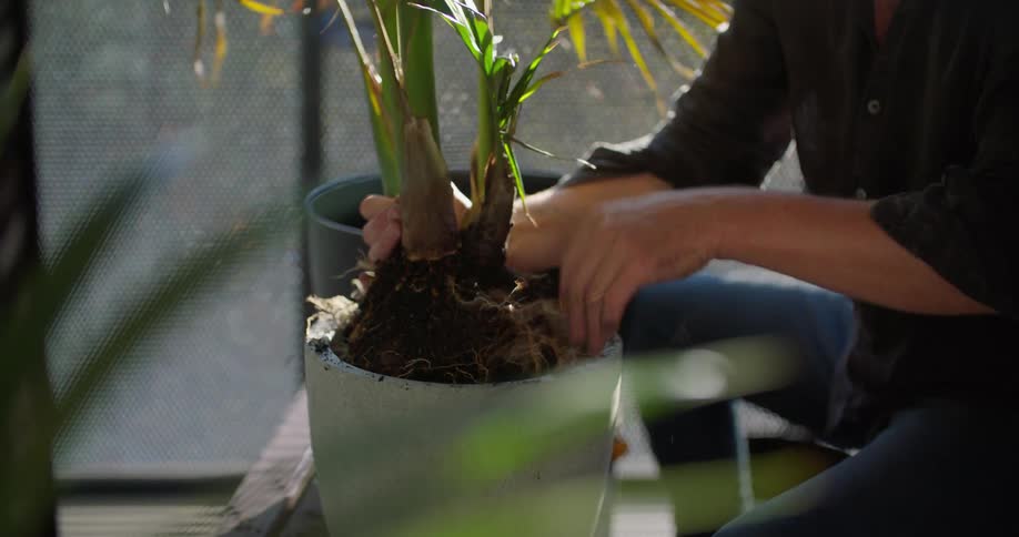 A man is sitting outside putting a plant into a pot