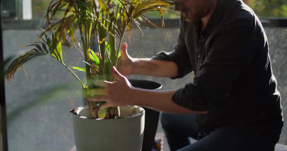 A man is sitting outside putting a plant into a pot