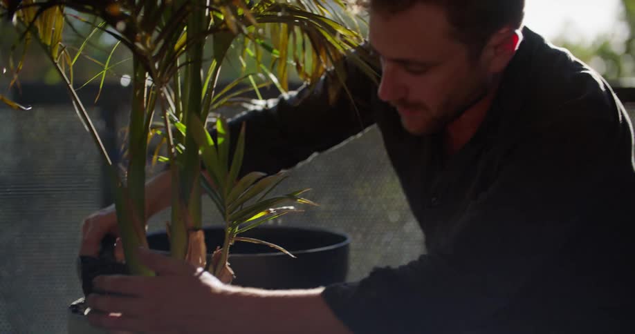 A man sits on a balcony and put soil in a planter around a plant