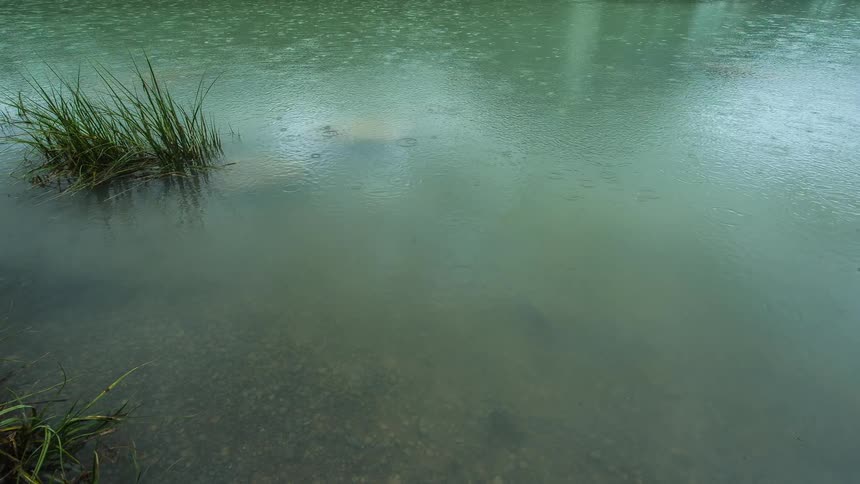 Rain on a small body of water