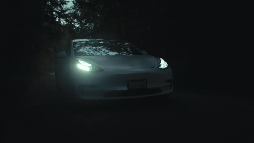 A car travels along a road through a forest during the day