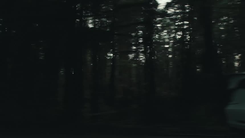 A car travels along a road through a forest during the day