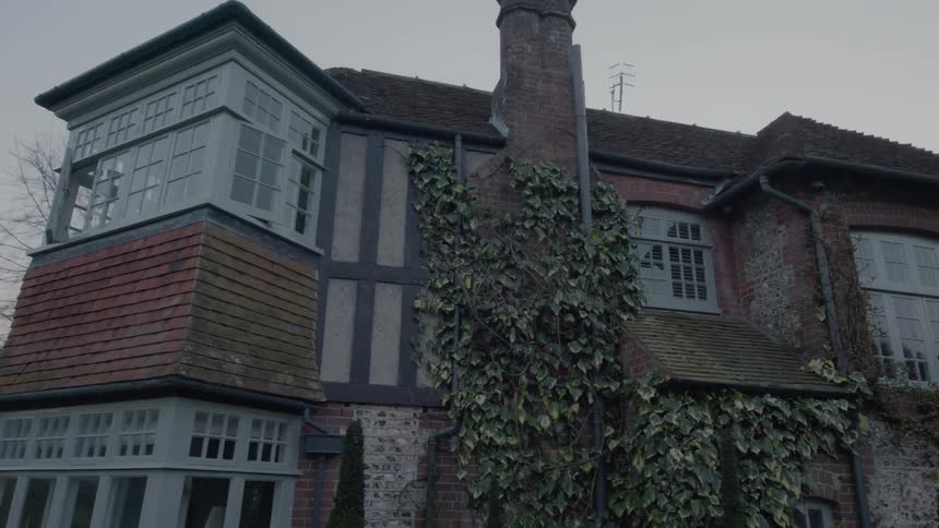 Vines are growing on the side of the home