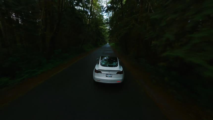 A vehicle speeds along a road through a forest during the day