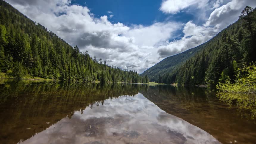 Time lapse of a lake surrounded by trees