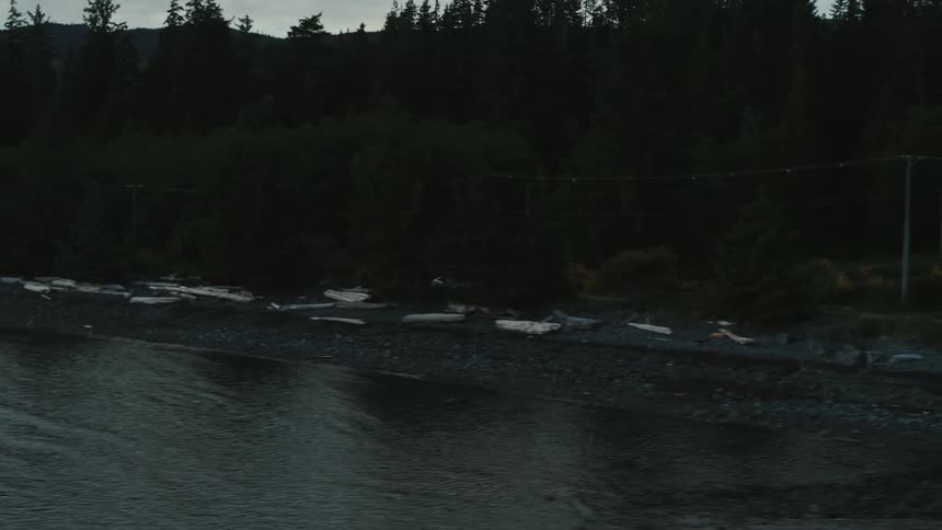 A white car travels on a forest road along the shoreline