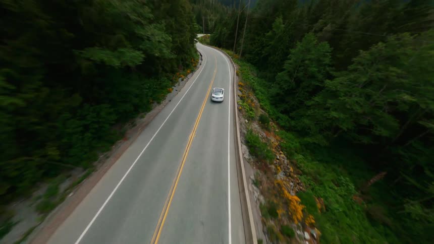 Time lapse of a car driving down a road past a forest