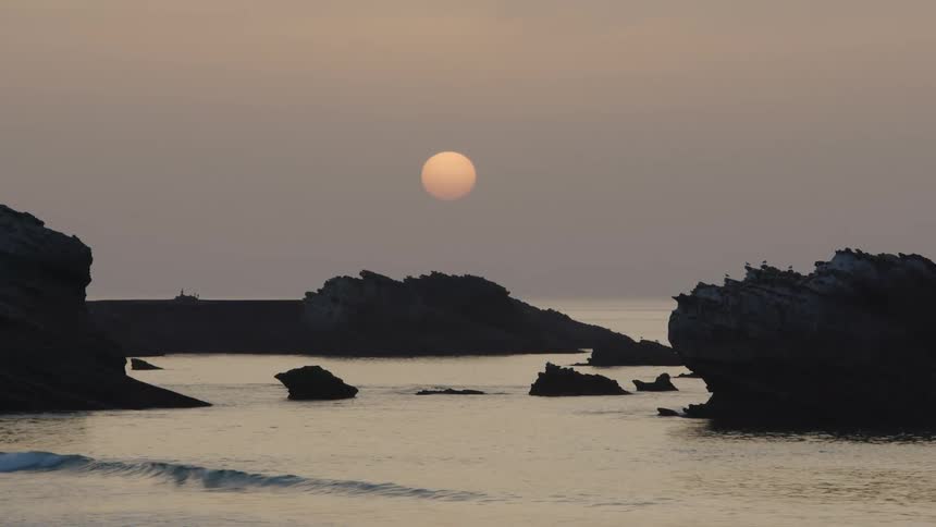 Sun sits above the horizon as birds and sea mammals sit on rock formations near beach