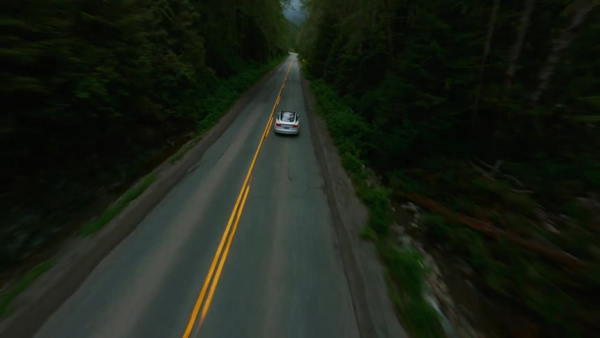 A car speeds along a road through a forest during the day