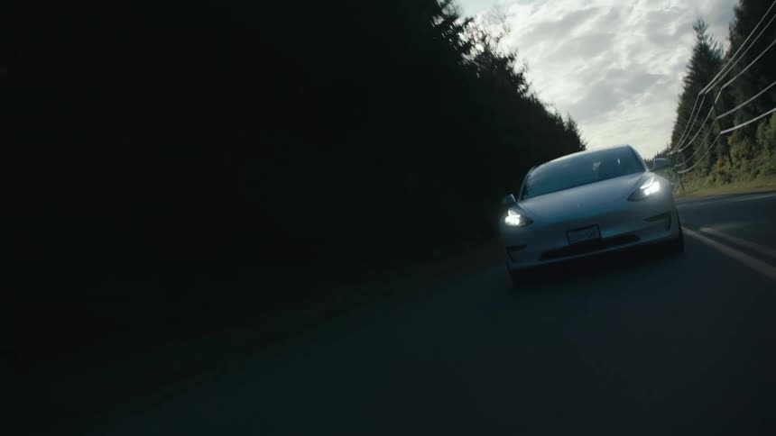 A car travels along a road through a forest during the day