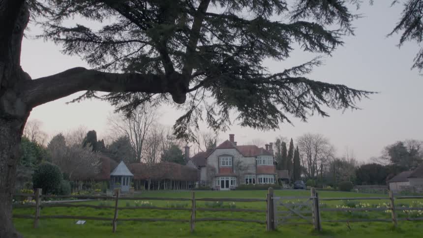 A Cedar of Lebanon tree in front of an old country estate